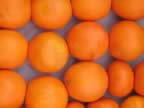 Oranges1.jpg (28kb)