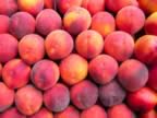 Peaches1.jpg (39kb)