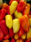Red-YellowPeppers1.jpg (20kb)